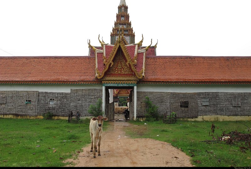 Vietnam - Cambodge - 0317.JPG